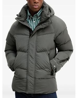 Blauer Zip-Fastening Jacket - Gray