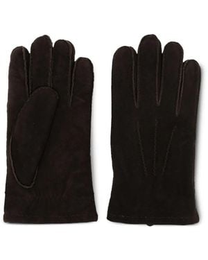 N.Peal Cashmere スエード グローブ - ブラック