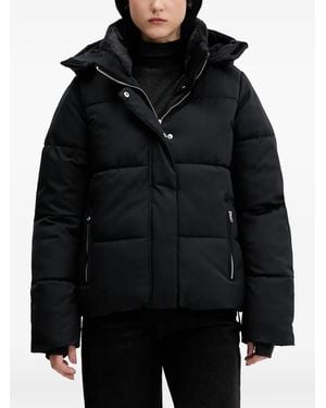 Hollister Hooded Puffer Jacket - Black