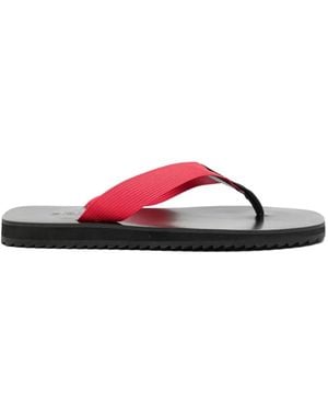 Senso Xylon Rubber Thongs - Black