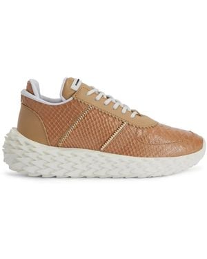 Giuseppe Zanotti Trainers - Brown