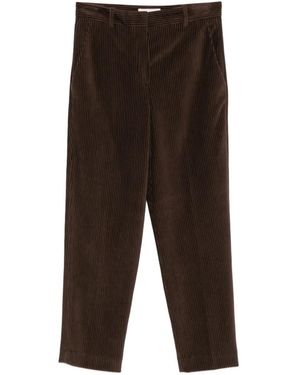 Circolo 1901 Corduroy Straight-Leg Pants - Brown