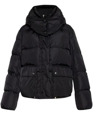 Add Hooded Puffer Jacket - Black
