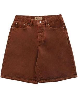 Stussy Big Ol Shorts - Brown