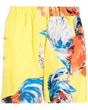 MSGM Rooster Print Shorts - Yellow