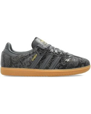 adidas Samba Sneakers aus Schlangenleder - Grau