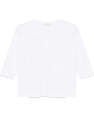 Zanone Cotton t-shirt - Weiß