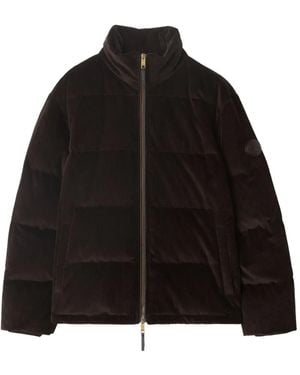 Burberry コーデュロイ パデッドジャケット - ブラック