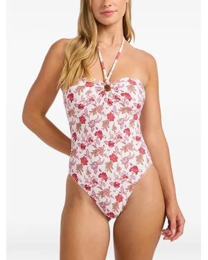 Seafolly Bañador Con Estampado Floral - Rosa