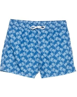Fedeli Badeshorts Mit Schildkröten-Print - Blau