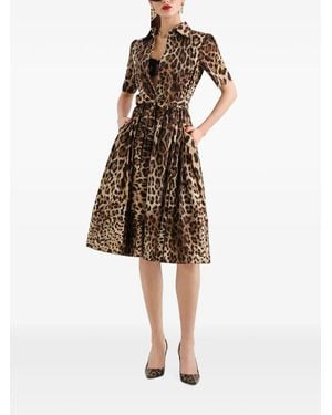 Dolce & Gabbana Leo-Print Poplin Shirt Dress - Natural