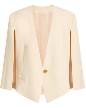 Alberta Ferretti Blazer Monopetto Con Scollo A V - Neutro
