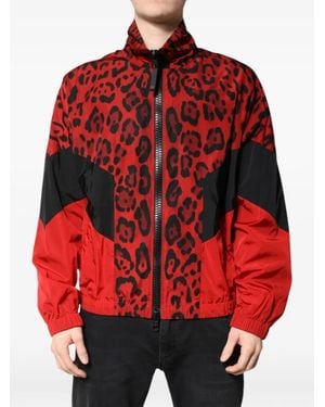 Dolce & Gabbana Leopard-Print Bomber Jacket - Red