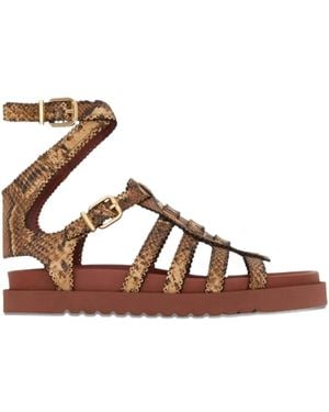 Zimmermann Goldie Gladiator Sandalen Mit Schnalle - Braun