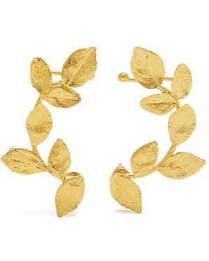 LYNYER Climbing Leaf Earrings - Metallic