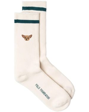 PELO FOUNDATION Calcetines Chihuahua - Blanco