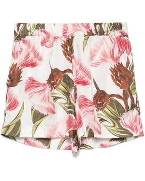 P.A.R.O.S.H. Floral-Print Shorts - Pink
