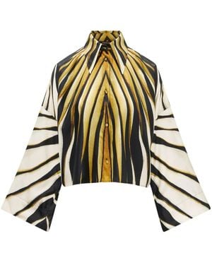Roberto Cavalli Ray Of Print Silk Shirt - Metallic