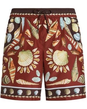 Dolce & Gabbana Shell-Print Swim Shorts - Brown