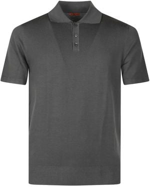 Barena Polo Con Solapa Con Botones - Gris