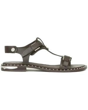 Ash Piper T-Strap Sandals - Brown