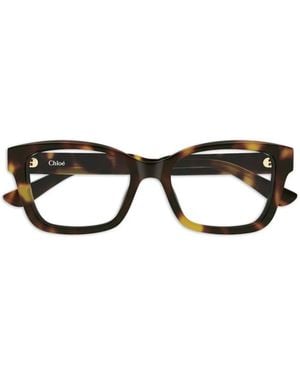 Chloé Havana Sonnenbrille - Schwarz