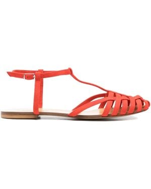 Anna F. Sandali Con Cinturino A T - Rosso