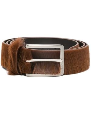 N°21 Belts - Marrón