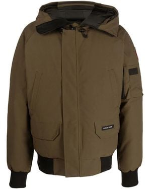 Canada Goose Chilliwack Bomberjacke Mit Kapuze - Braun
