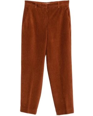 Circolo 1901 Corduroy-Effect Tapered Pants - Brown