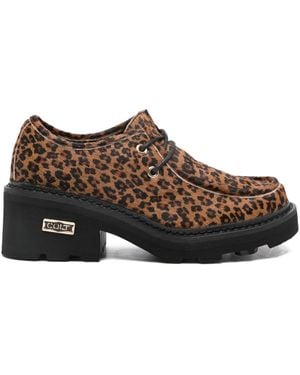 Cult Leopard-Print Derby Shoes - Brown