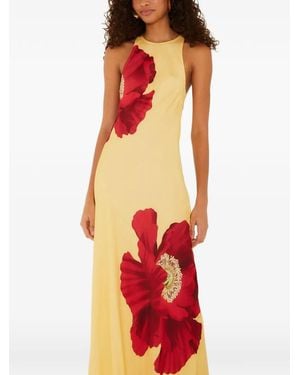 FARM Rio Robe Sans Manches À Imprimé Coquelicot - Red