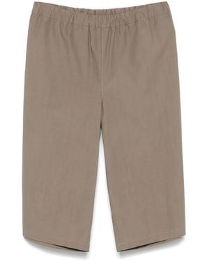 Rier Shorts Cerati - Grigio