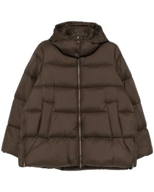 JNBY A-Type Down Jacket - Brown