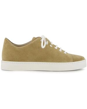 Manolo Blahnik Semanado Suede Trainers - Brown