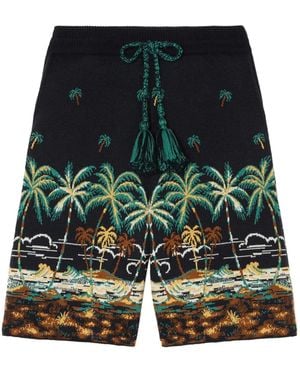 Alanui The Tale Of A Hawaiian Shorts - Blue