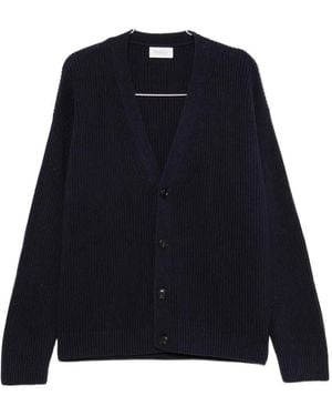 Diana Studio Ribbed-Knit V-Neck Cardigan - Blue