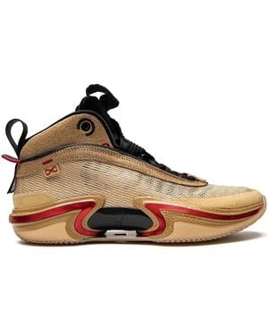 Nike X Rui Hachimura Air Xxxvi Se Trainers - Brown