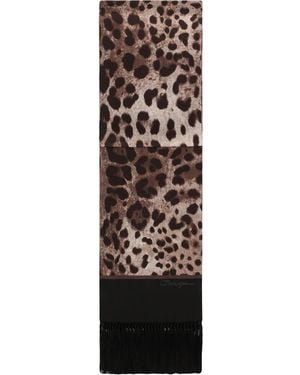Dolce & Gabbana Leopard Print Lightweight Knitted Scarf - Black