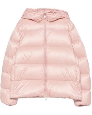 Moncler Gefütterte Kapuzenjacke - Pink