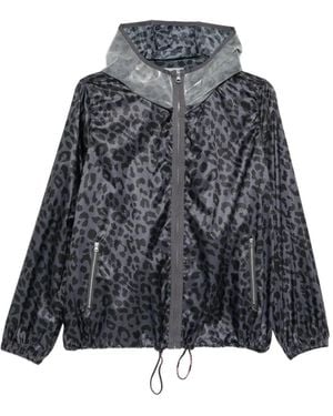 Pinko Animal-Print Hooded Jacket - Gray