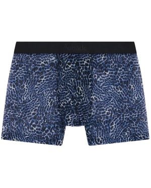 Aubade Leopard-Print Boxers - Blue
