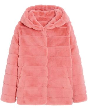 Apparis Goldy Hooded Coat - Pink