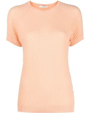 Circolo 1901 ショートスリーブ Tシャツ - ピンク