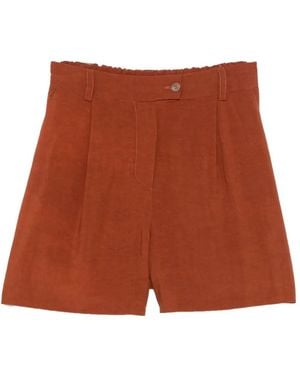Kaos Pleated High-Waisted Shorts - Brown