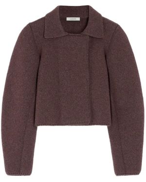 Lemaire Felted Double-Breasted Blouson - Brown