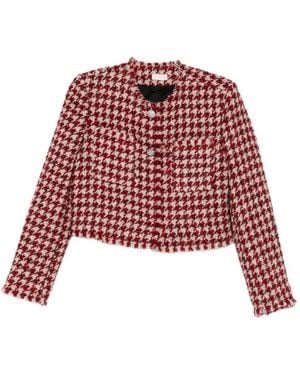 Liu Jo Tweed Jack - Rood
