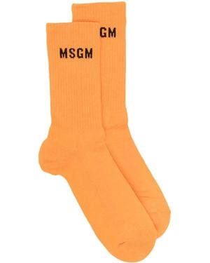 MSGM ロゴ 靴下 - オレンジ