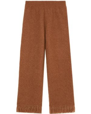 Alanui Cashmere And Silk Blend Trousers - Brown