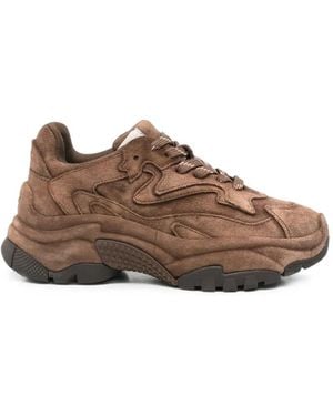 Ash Addict Panelled Trainers - Brown
